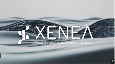 Xenea Wallet Quiz
